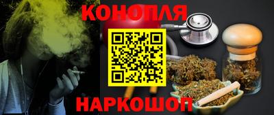 шишки Будённовск